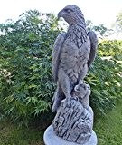 Steinfigur Adler Falke Vogel Greifvogel Figur Massiv Raubvogel Gartenfigur Frostfrei Farbe grau / Patiniert H.50 cm