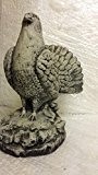 Steinfigur Friedenstaube Taube AUERHAHN Hahn Hühner Huhn Tiermotiv Vogel Taube Tierfigur Steinguss Frostfrei als Weihnachsgeschenk