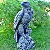 Steinfigur Seeadler Adler Falke Vogel Greifvogel Figur Massiv Raubvogel Gartenfigur