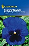 Stiefmütterchen: Blau mit Auge, Viola x wittrockiana - 1 Portion
