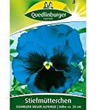 Stiefmütterchen blau 'Schweizer Riesen', 1 Tüte Samen