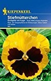 Stiefmütterchen: Goldgelb mit Auge, Viola x wittrockiana - 1 Portion