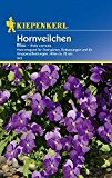 Stiefmütterchen: Hornveilchen blau, Viola x cornuta - 1 Portion