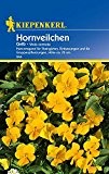 Stiefmütterchen: Hornveilchen gelb, Viola x cornuta - 1 Portion