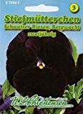 Stiefmütterchen Schweizer Riesen Bergwacht Viola wittrockiana
