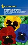 Stiefmütterchen: Schweizer Riesen, Viola x wittrockiana - 1 Portion