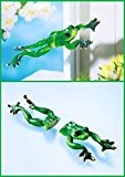 Stuntman Magnet Frosch 2 teilig Fensterdeko Gartenfigur Gartendeko