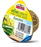 Substral "Deine Ernte" Saatkegel Zucchini, zur kinderleichten Ernte von Zucchini