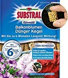 Substral Osmocote Langzeit Dünger-Kegel für Balkonpflanzen - 25 Stück