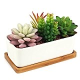 Succulent Planter, Innoter Modern White Ceramic Cactus Flower Pot Plant Pot with Bamboo Tray (Rectangular)