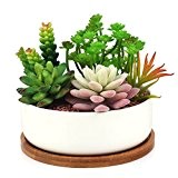 Succulent Planter, INNOTER Modern White Ceramic Cactus Flower Pot Plant Pot with Bamboo Tray (Round)