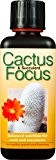 Sukkulente/Kaktus, Focus, 300 ml