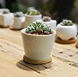 SUN-E Moderne Keramik Weiß Saftige Pflanzer Töpfe / Mini-Blumen-Anlage Container mit Bambus Saucers (Runden)