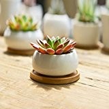 SUN-E Moderne Keramik Weiß Saftige Pflanzer Töpfe / Mini-Blumen-Anlage Container mit Bambus Saucers (Flache runde)