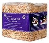 SuperMoss (22325) Orchid Sphagnum Moss Dried, Natural, 1lb Mini Bale by Super Moss