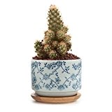 T4U 7.5CM Ceramic japanese Style Serial No.6 Sucuulent Plant Pot/Cactus Plant Pot Flower Pot/Container/Planter White