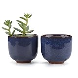 T4U Blumentopf/Kaktus-Topf/Sukkulenten-Pflanzgefäß aus Keramik, 6,5 cm, Design mit Kunstrissen, Saphirblau blau