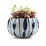 T4U Japanische Stil Clay Serielle Blau-Gras-Blume keramik Pflanzt?pfe Blument?pfe Blumenbeh?lter Sukkulente Kaktus Blumentopf Wei?e