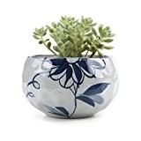 T4U Japanische Stil Clay Serielle Daisy keramik Pflanzt?pfe Blument?pfe Blumenbeh?lter Sukkulente Kaktus Blumentopf Wei?e