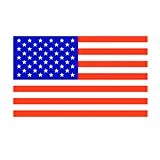 Taffstyle® Fanartikel Fussball Weltmeisterschaft WM & EM Europameisterschaft 2016 Länder Flagge Fahne 150cm x 90 cm mit Metallösen - USA