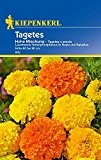 Tagetes: Hohe Mischung, Tagetes x erecta - 1 Portion