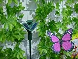 Tanzender Solar Schmetterling der Hingucker auf Ihrer Terrasse / Blumenbeet