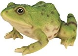 Tiere aus Resine Frosch, 3580792005218, grün, 16.5 x 13.200000000000001 x 8,14 cm,, 200521
