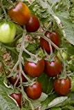 Tomate Black Plum Bio Demeter