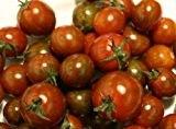 Tomate -Black Zebra Cherry- 10 Samen ***NEW***