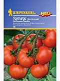 Tomate Buschtomate Hoffmanns Rentita