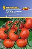 Tomate Buschtomate Hoffmanns Rentita