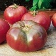 Tomate - Cherokee Purple 10 Samen