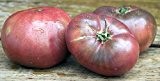 Tomate Cherokee Purple - Tomate Cherokee violett - 15 Samen