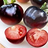 Tomate Indigo Rose - dunkelviolett-schwarze Tomate - 10 Samen