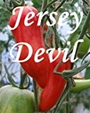 Tomate " Jersey Devil " - 20 Samen - lange Tomaten !!