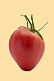 Tomate Ochsenherz (Cuor di bue) (Lycopersicum L.) 25 Samen Reinsaat