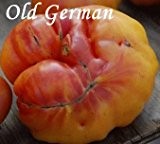 Tomate " Old German " - 20 Samen - sehr große süßfruchtige Fleischtomate -alte Sorte- !!