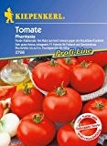 Tomate Phantasia - aromatisch rund