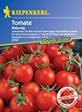 Tomate Philovita - Cherry Tomaten