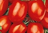 Tomate Pomodoro Rio Grande 10 Samen