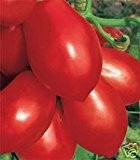 Tomate -Rio Grande- 10 Samen