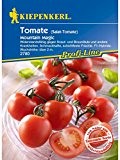 Tomate Salattomate Mountain Magic