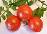 Tomate Tigerella (Rot-Gestreift) 10 Samen