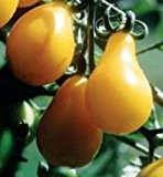 Tomate Yellow Pear - Tomate gelbe Birne - Tomaten Samen - 50 Samen
