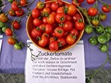 Tomate, Zuckertomate (Saatgut)