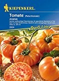 Tomaten: Ananas, Lycopersicon esculentum - 1 Portion