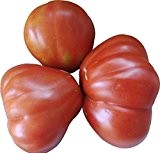 Tomaten Australische Birne - 5 Samen