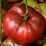 Tomaten Cherokee Purple - 10 Samen