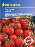 Tomaten Cherrytomate Philovita F1 braunfäuletolerant