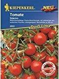 Tomaten Cherrytomaten Siderno F1 resistent